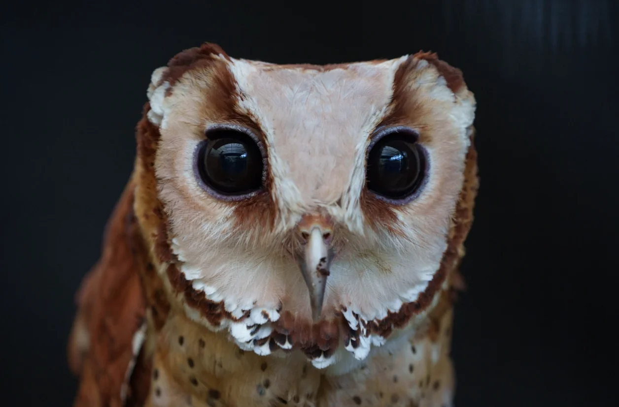 Farm In The City - view 1